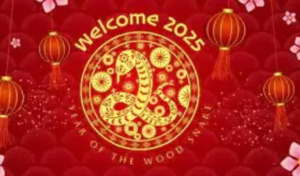 चंद्र नववर्ष 2025 वुड स्नेक के चिह्न के तहत आने वाला वर्ष हमारे लिए क्या लेकर आया है