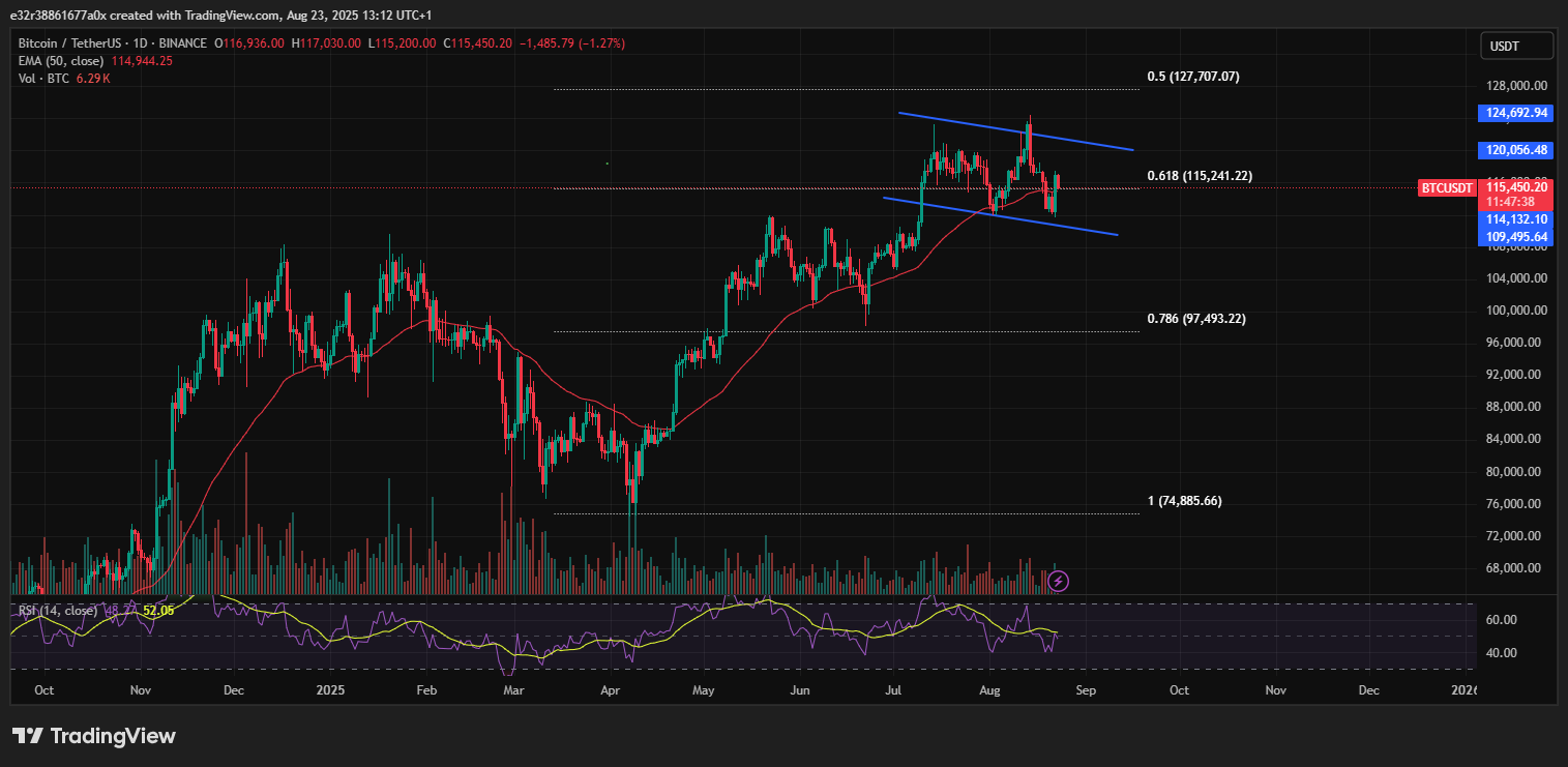 Bitcoin’s price outlook shows a possible comeback is inbound | Source: TradingView