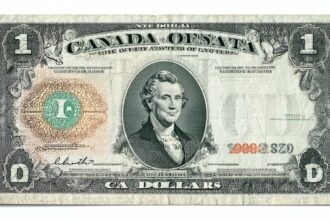 08dcc202 3f40 46d7 A9f2 F7e0f58df920 330x220