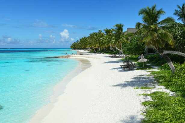 3e92889c C06b 4dbf B044 Bcd8f673bc90 615x410