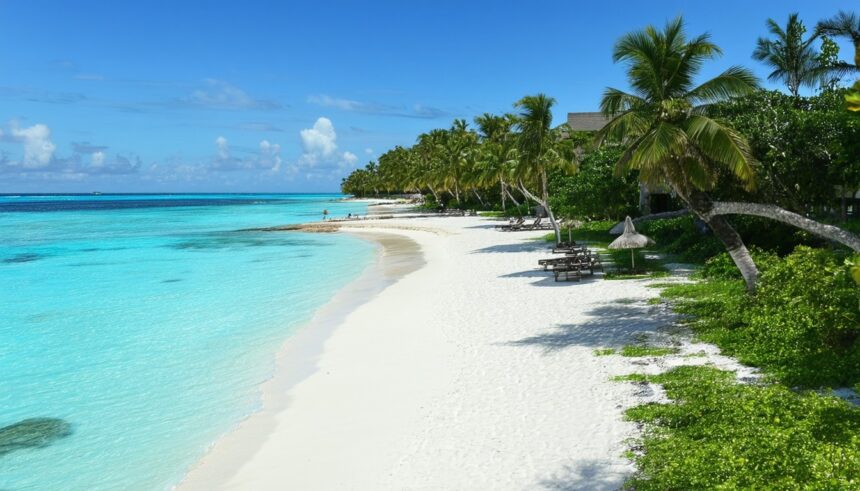 3e92889c C06b 4dbf B044 Bcd8f673bc90 860x491