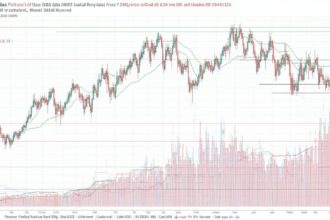 9342dbbe F1b8 4cdd Aaeb 7568b423c9a5 330x220