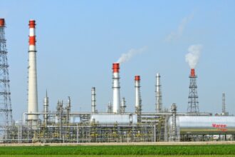 Bde5f51d B21f 4119 A218 Bf4862e84637 330x220