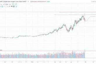 E99fe686 Fba4 49b7 B6cb 39ead1d96e82 330x220