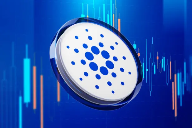 6507b145 B72f 488e 8fe6 2cbf6cc2f63f