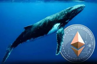 Db85a65a E6b9 43e5 B9b0 229ddcbc095c