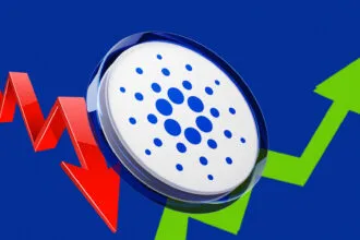 3356363f 32bb 414a 8ca0 770fc443b571