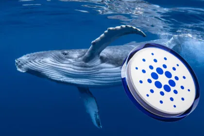 Bfdb5aba E237 4585 9564 8736d40cbf26