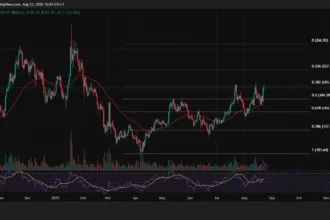 1kFhgZiAB98mcNwTuBgFi5HrpzuL1uPa 