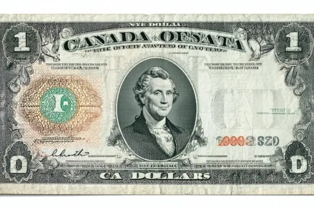 08dcc202 3f40 46d7 A9f2 F7e0f58df920