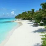 3e92889c C06b 4dbf B044 Bcd8f673bc90